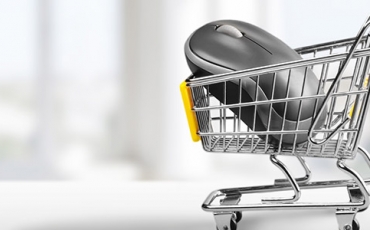 Bingöl E-ticaret Danışmanı