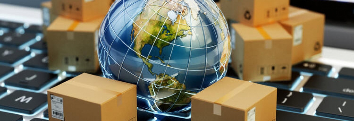Elazığ E-ticaret Danışmanı